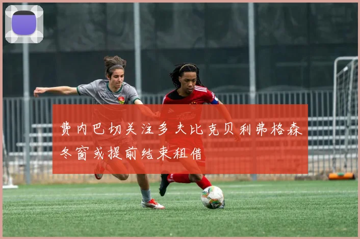 费内巴切关注多夫比克贝利弗格森冬窗或提前结束租借