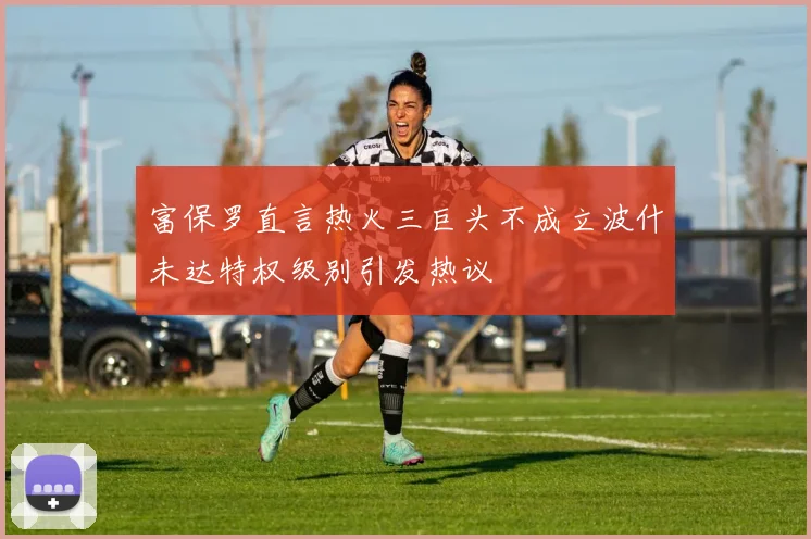 富保罗直言热火三巨头不成立波什未达特权级别引发热议
