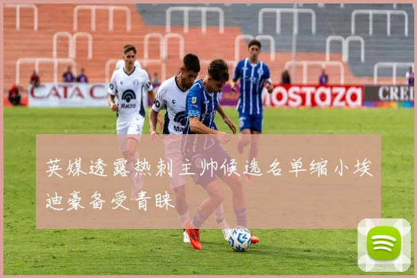 英媒透露热刺主帅候选名单缩小埃迪豪备受青睐