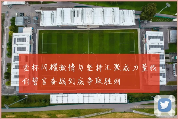 金杯闪耀激情与坚持汇聚成力量我们誓言奋战到底争取胜利