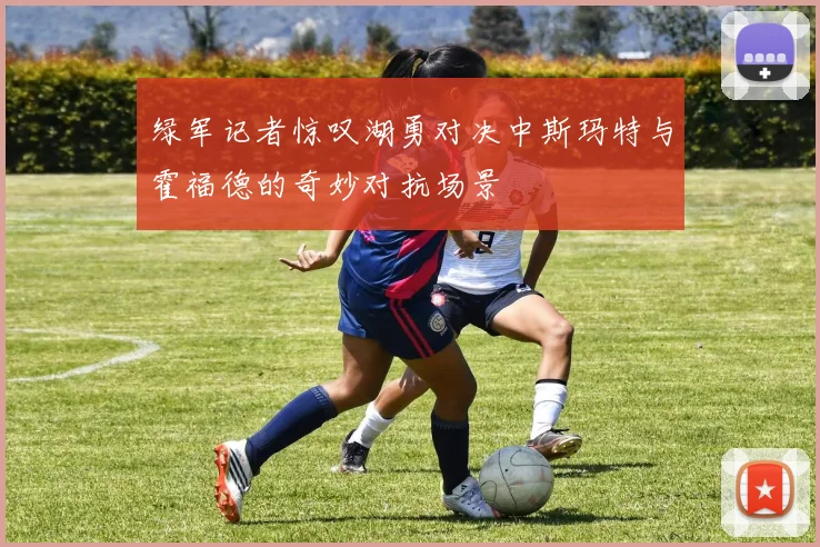 绿军记者惊叹湖勇对决中斯玛特与霍福德的奇妙对抗场景
